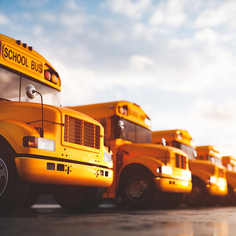 Plusieurs bus scolaires jaunes alignés sous un ciel matinal, marqué SCHOOL BUS sur le devant.